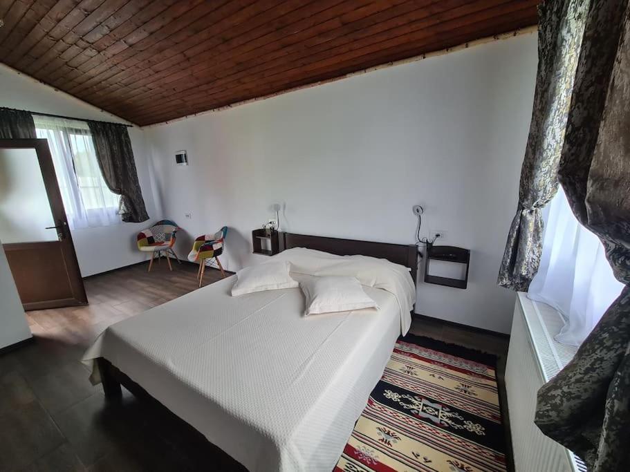 Cabana Bujor De Munte Râșnov Zewnętrze zdjęcie